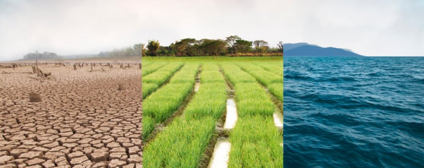 A split image showing a dry cracked plain, a paddy field and an ocean